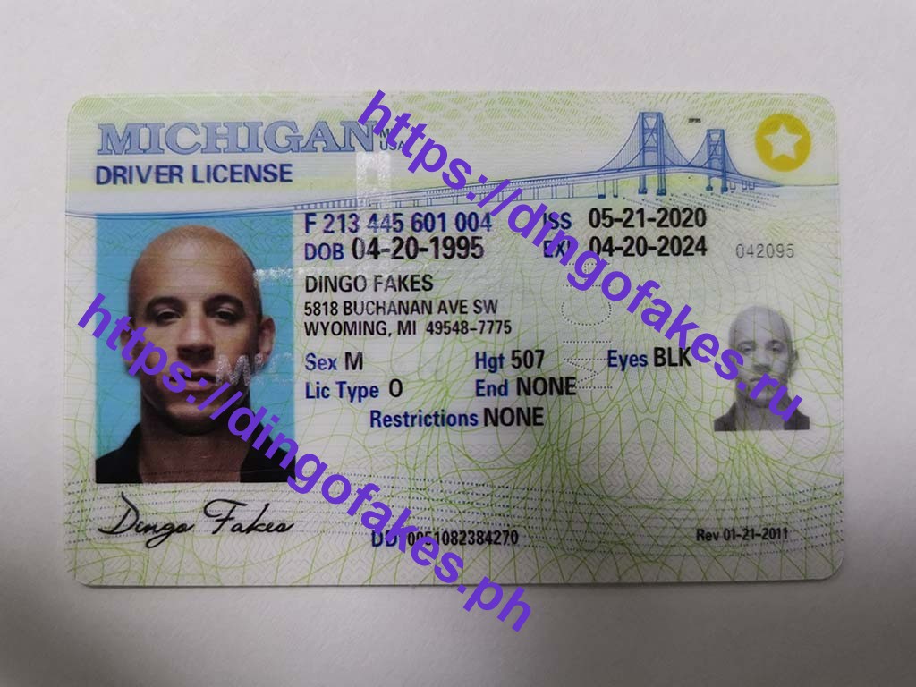 Dingo Face Fake Id