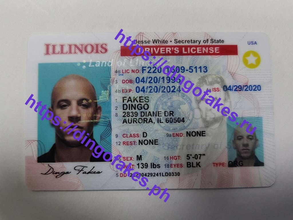 Dingo Fakes Id Review