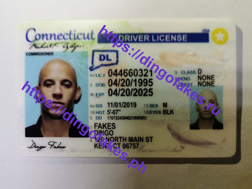 Dingo Fake Id Review