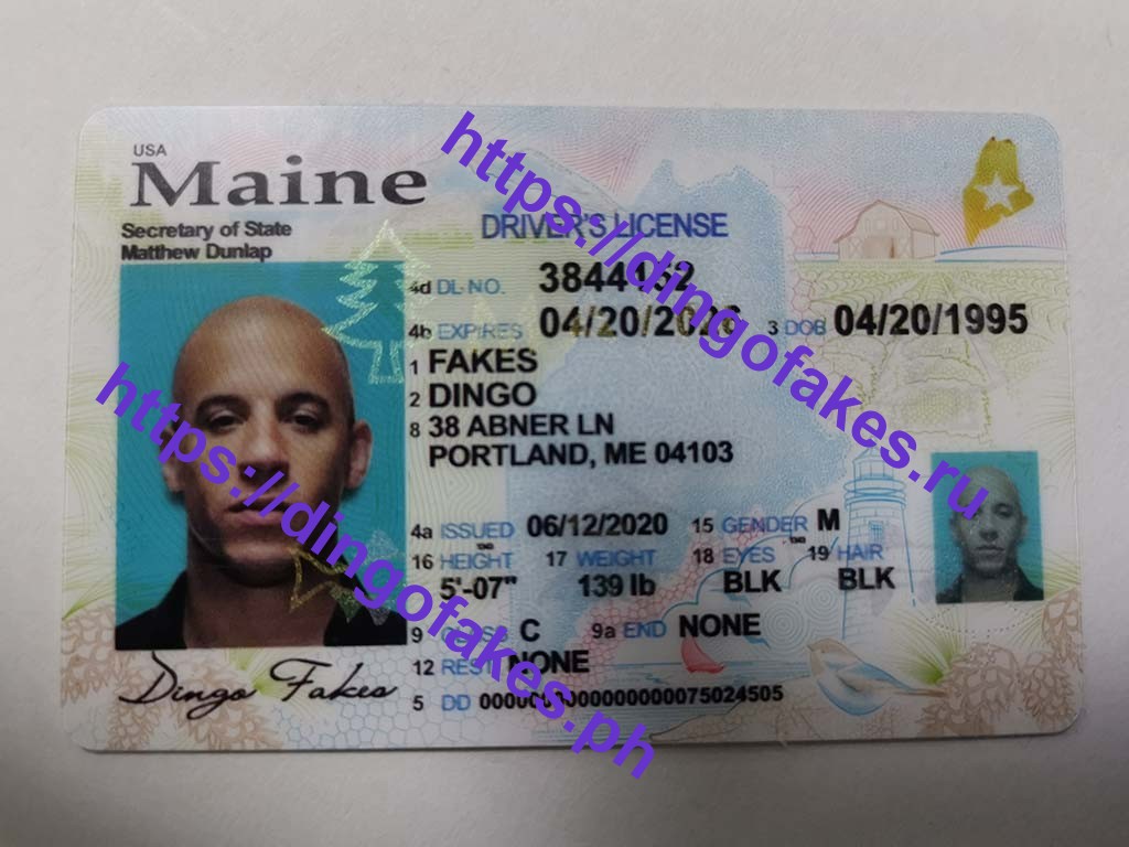 Dingo Fakes Id Review