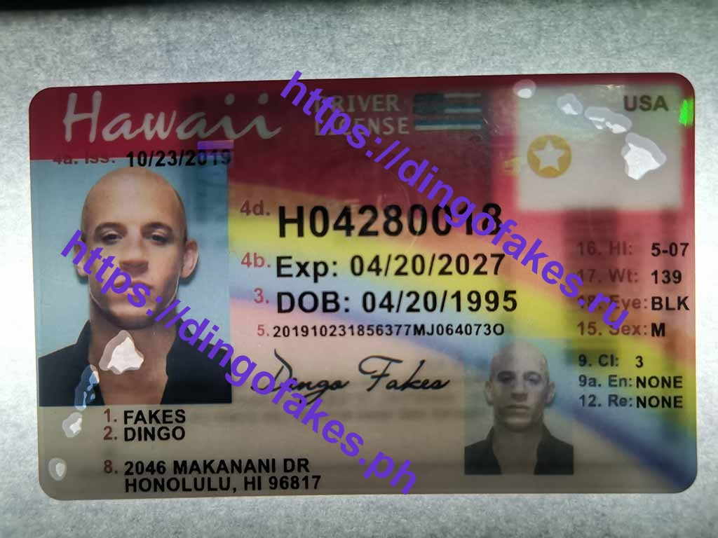 Dingo Fake Id Texas