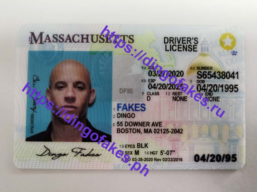 Dingo Fake Id
