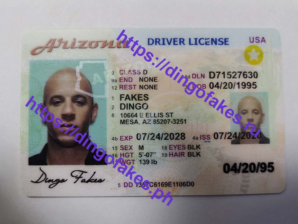 Dingo Fake Id Reddit