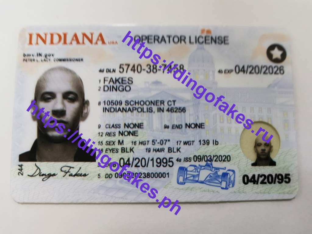 Dingo Fake Id