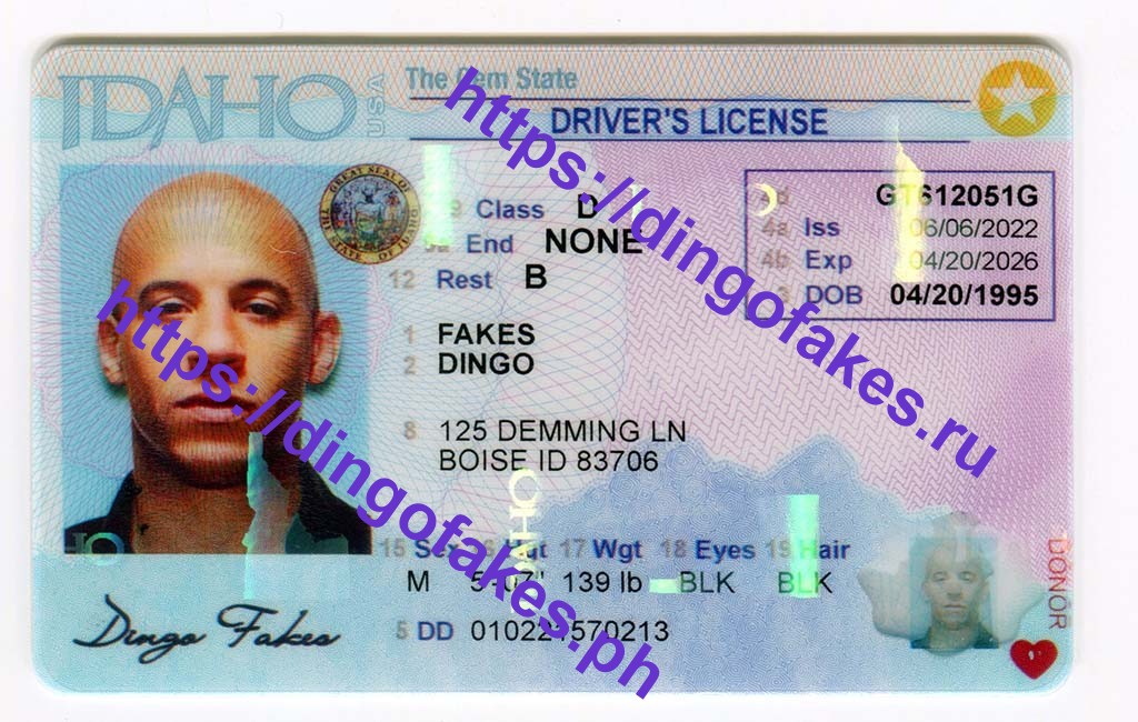 Dingo Fake Id Website