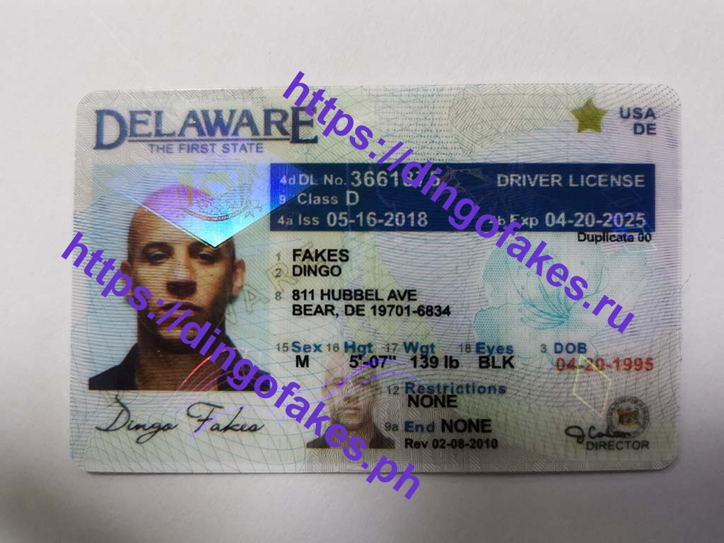 Dingo Fake Id Texas