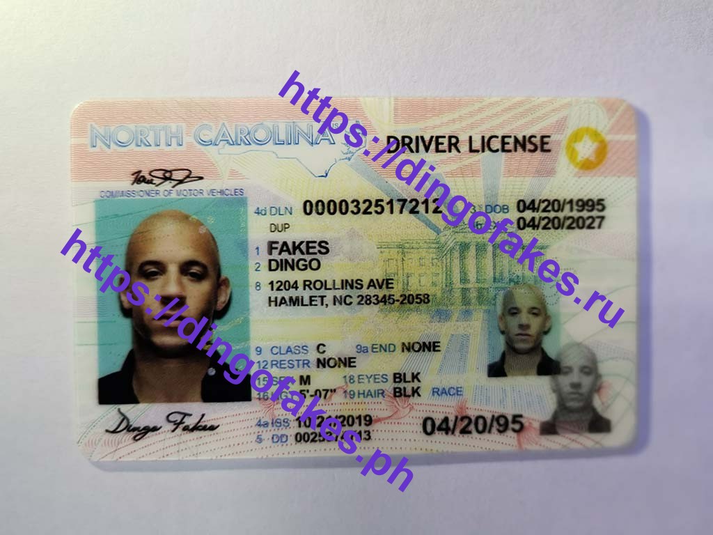 Dingo Fake Id