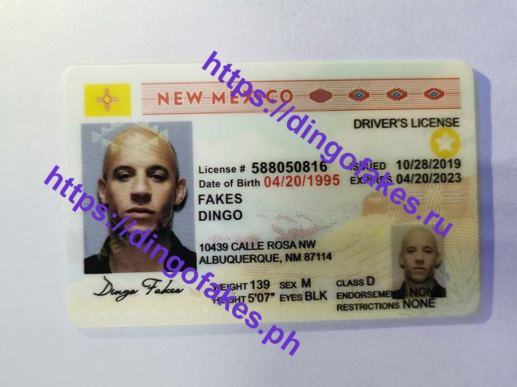 Dingo Fake Id Website
